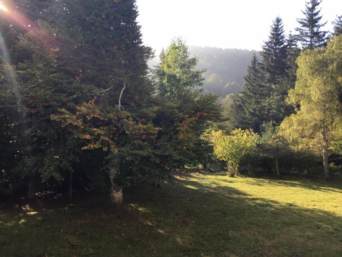 Lo Vedelier D'Aubrac Apartamento Laguiole Exterior foto