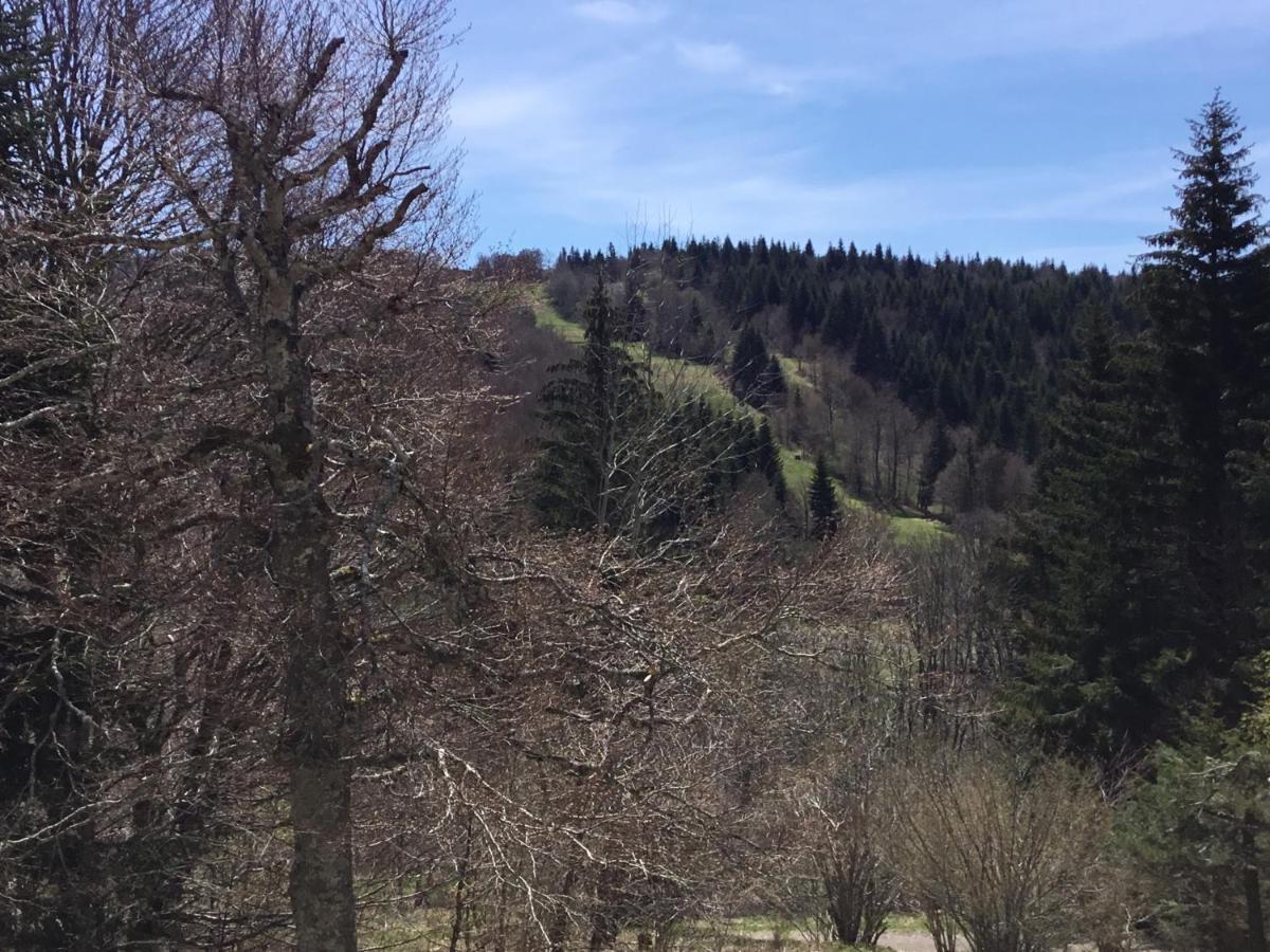 Lo Vedelier D'Aubrac Apartamento Laguiole Exterior foto