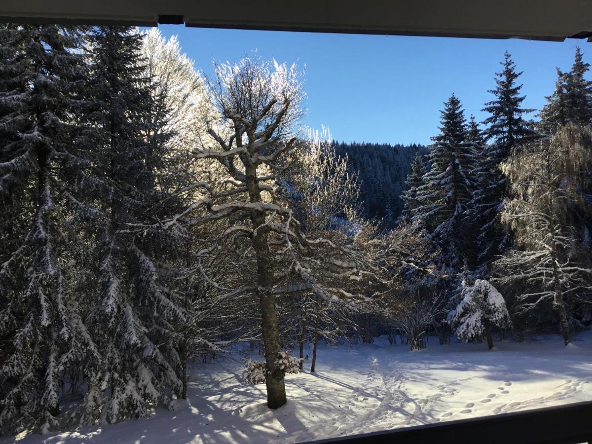 Lo Vedelier D'Aubrac Apartamento Laguiole Exterior foto