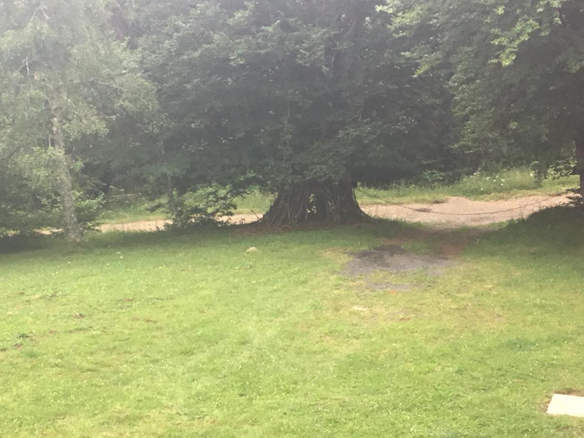 Lo Vedelier D'Aubrac Apartamento Laguiole Exterior foto